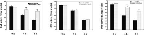 Figure 5. Antioxidant enzyme activities in E. coli transformants overexpressing OsDUF1664.3 under drought (mimic) stress. Note: After E. coli transformants were exposed to drought conditions (300 mmol/L mannitol treatment) for 0, 4, and 8 h, respectively, catalase (CAT), superoxide dismutase (SOD) and peroxidase (POD) activities were determined. Error bars indicate standard error of the means based on three biological replicates. **P < 0.01 (Student’s t test).