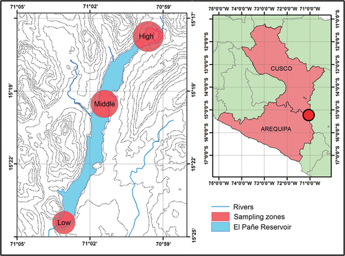 Figure 1. Sampling zones in El Pañe Reservoir, Arequipa, Peru.