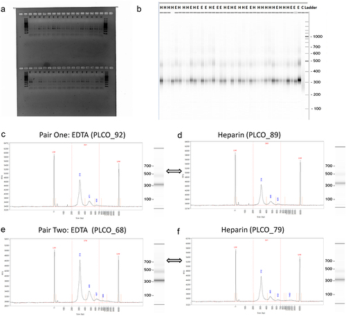 Figure 3. Distribution of the 5hmC-Seal libraries.