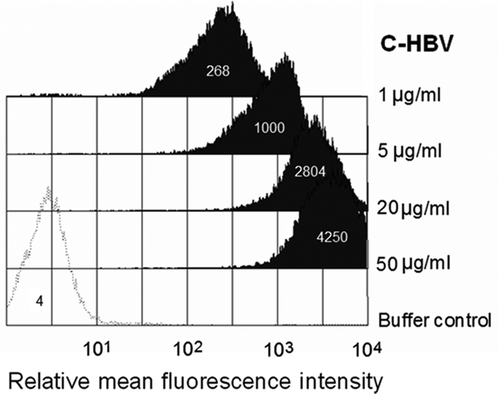 Figure 4. Binding of C-HBV to iDCs-FACS analysis.