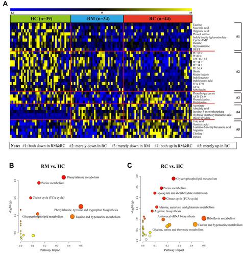 Figure 5 Significantly changed metabolites in RMs and RCs compared to HCs 3 months after discharge from hospital. (A) Heat map of changed metabolites in RMs and RCs as compared to HCs. Only differential metabolites with P <0.01, FDR <0.2, and VIP >1 are displayed, and the shades of the color indicate the relative level of metabolites (blue and yellow are indicative of relatively lower and higher level, respectively, and black shows the mean level). The disturbed metabolic pathways showed various metabolism changes when comparing (B) RMs to HCs, and (C) RCs to HCs. The value of P and pathway impact is calculated from the pathway enrichment and topology analysis, respectively. The node color is based on its p value and the node radius is determined based on their pathway impact values.