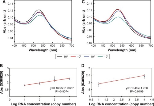 Figure 4 GAG assay spectrum results with TOP1 and TDP2 mRNA transcripts.Notes: (A) Different concentrations of TOP1 mRNA were detected and quantified by a specific probe using the GAG assay. The mRNA was extracted and then targeted by the conjugated nanoparticles. Different SPRs were obtained according to the TOP1 mRNA concentration (copy number). The aggregation behavior was compatible with both SPR and concentration. (B) A standard curve was performed by getting the absorbance ratio (A530/A620) against the log of the mRNA concentration. A linear relationship was obtained with R2=0.9074. (C) Different concentrations of TDP2 mRNA were targeted by a TDP2-specific probe using the GAG assay according to the TDP2 mRNA concentration (copy number). The aggregation behavior was compatible with both SPR and concentration. (D) A standard curve was performed by plotting the absorbance ratio (A530/A620) against the log of the mRNA concentration and a linear relationship was obtained with R2=0.9199.Abbreviations: GAG, gold aggregating gold; SPR, surface plasmon resonance; TDP2, tyrosyl DNA phosphodiesterase 2; TOP1, topoisomerase 1.