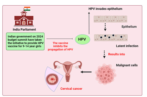 Figure 1: Schematic representation of government initiatives towards combating cervical cancer.