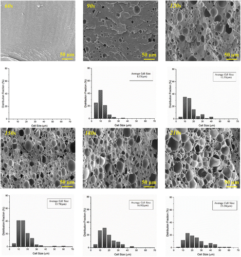 Figure 7. SEM micrographs and cell size distribution of microwave-assisted PS/CB1 foams created at various radiation times.