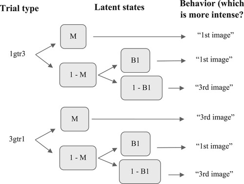 Figure 2. Multinomial processing tree for affective working memory.Notes: M represents the latent state of successful “maintenance”. B1 represents bias toward picking the 1st image as more intense whereas 1 – B1 represents bias toward picking the 3rd image as more intense.
