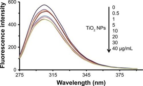 Figure 1 Intrinsic fluorescence quenching of tau in the absence and presence of increasing doses of TiO2 NPs at room temperature.Abbreviations: NPs, nanoparticles; TiO2, titanium dioxide.