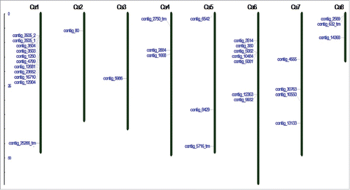 Figure 5. Chromosomal mapping of identified START proteins from chickpea. Ca1–Ca8 represents the number of chickpea chromosomes distanced by centimorgan. Three genes present in the scaffold are not mapped.