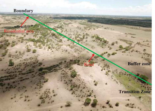 Figure 1. The impact of anthropic disturbance such as residential area and road on the hypothetical boundary of buffer zone and transition zone. The background picture was captured by a DJI Mavic Pro drone