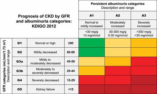 Figure 1. Kidney disease: Improving Global Outcomes (KDIGO) staging heat map [Citation1]. Green: low risk (if no other markers of kidney disease, no CKD); Yellow: moderately increased risk; Orange: high risk; Red, very high risk. Republished with permission of Elsevier Science & Technology Journals, from KDIGO 2012 Clinical Practice Guideline for the Evaluation and Management of Chronic Kidney Disease, KDIGO CKD Work Group, Kidney Int Suppl. 3:1–150. Copyright 2021. Permission conveyed through Copyright Clearance Center, Inc. CKD, chronic kidney disease; GFR, glomerular filtration rate.