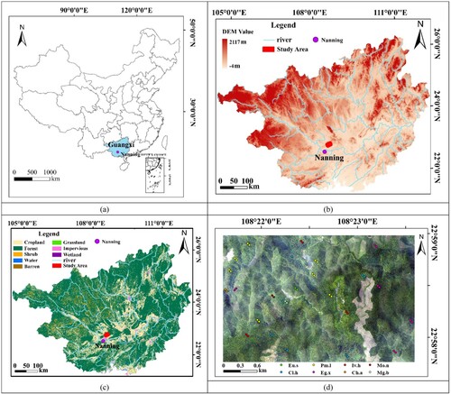 Figure 1. Map of the study area. (a) Province in which the study area is located. (b) Digital Elevation Model of study area, with the red area indicating the study area. (c) Land use map of Guangxi Province. (d) UAV image of the study area with sampling points.