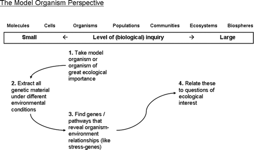 Figure 3. Different steps in ecogenomics research with a model organism (MOE) approach.