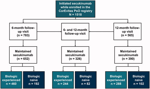 Figure 1. Patient disposition flow chart. PsO, psoriasis.