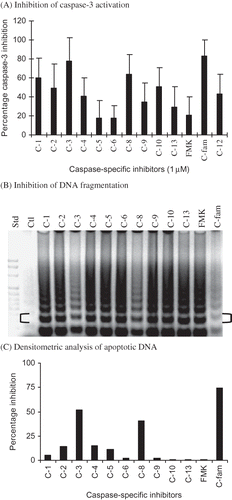 Figure 4. Inhibitory effects of caspase-specific and caspase-family inhibitors on MDP-induced (A) caspase-3 and (B) DNA degradation profiles. (C) Densitometric analysis of the RK13 cell apoptotic DNA ladders (brackets indicate the 360 bp band analyzed).