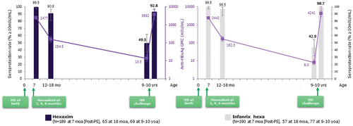 Figure 4. Persistent immune memory to HB following 2, 4, 6 month primary series vaccination of Hexaxim and no booster.