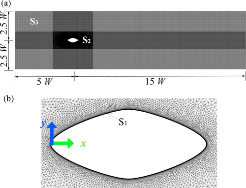Figure 10 Mesh grids schematic. (a) The distribution of computational mesh; (b) detailed mesh near the SFT cross-section surface