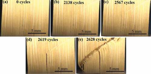 Figure 10. Optical images of failure at different number of cycles for stress amplitude at 95% of buckling load: (a) 0 cycles; (b) 2138 cycles; (c) 2567 cycles; (d) 2619 cycles, and (e) 2628 cycles