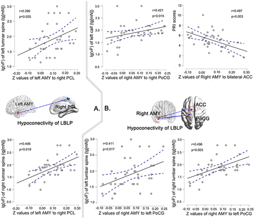 Figure 3 Spearman correlational analysis between decreased rsFC of left amygdala (A) and right amygdala (B) and lg-transformed vF test values (lg(vF)), or partial correlational analysis between decreased rsFC of right amygdala (B) and the PRI scores in LBLP patients.