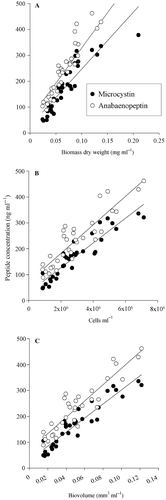 Fig. 1. Relationship between microcystin (MC; black circles) and anabaenopeptin (APN; white circles) concentrations and biovolume of the filamentous cyanobacterium Planktothrix strain No. 32. Biovolume was estimated by (A) dry weight (regression coefficients for MC: R 2 = 0.8 and APN R 2 = 0.83) (B) cell counting (MC: R 2 = 0.87 and APN R 2 = 0.82) and (C) calculating biovolume from filaments by assuming a cylindrical shape (MC: R 2 = 0.89 and APN R 2 = 0.85).