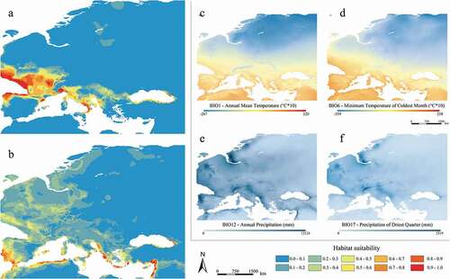 Figure 5. Predicted suitable areas for the Last Glacial Maximum climatic conditions for Myotis daubentonii (a) and M. capaccinii (b); distribution of the four shared and most contributing Last Glacial Maximum bioclimatic variables for both species (c–f)