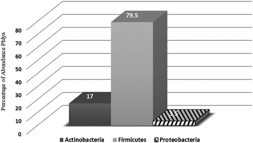 Figure 1. A healthy skin Phyla that was identify by Vitek 2. Actinobacteria (17%), Firmicutes (79.5%) and Proteobacteria (3.5%).
