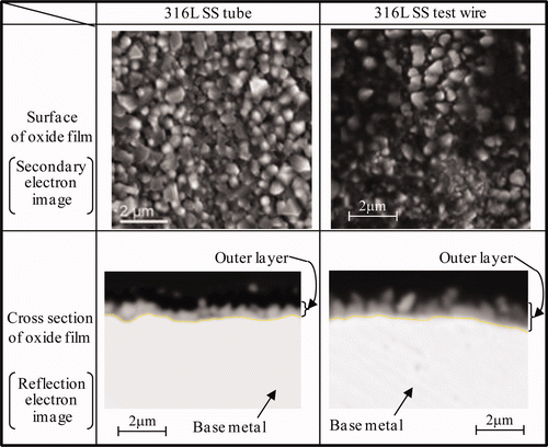 Figure 11. SEM image of surface and cross section of oxide film formed under NWC condition for Run 2.