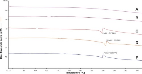 Figure 8 Differential scanning calorimetry thermograms of MCCS(A), TPGS(B), coarse baicalin (C), the physical mixture (D), and baicalin solid nanocrystals (E).Abbreviations: MCCS, microcrystalline cellulose and carboxymethyl cellulose sodium mixture; TPGS, d-α-tocopherol polyethylene glycol 1000 succinate.