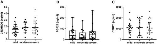 Figure 3. Serum 25(OH)D3, FGF23, and CTRP3 levels in different degrees of CAC. (A) Distribution of serum 25(OH)D3 level in mild, moderate, and severe calcification groups; (B) distribution of serum FGF23 level in mild, moderate, and severe calcification groups; (C) distribution of serum CTRP3 level in mild, moderate, and severe calcification groups.