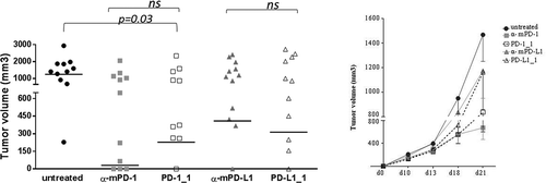 Figure 6. In vivo antitumor activities of PD-1_1 and PD-L1_1 antibodies. Tumor growth in groups of 10–12 mice inoculated with CT26 cells at day 0 and treated with PD-1_1, PD-L1_1 or positive control antibodies reacting against murine PD-1 and PD-L1 (α-mPD-1, α-mPD-L1) at day 3, 6 and 10. Shown is tumor volume for individual mice at day 21 (left) and mean of tumor volume for each group over time (right panel).