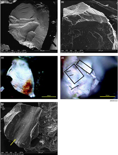 Figure 11. Quartz grain micromorphology, Livingston Tillite Member at the type section. (a) Sharp edged grain exhibiting multiple conchoidal fractures. Type section at Recorder Hill site. (b) Subangular grain with conchoidal fractures and slightly lifted plates. (c) Conchoidal fracture on sharp edged grain. (d) Grain exhibiting chatter mark (in upper right rectangle) and striae (orientation shown on left rectangle by lines), groove shown by arrow. (e) Grooving and striae along a smoothed surface, with orientation shown by arrow.