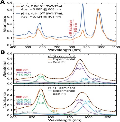 Figure 2. Absorbance properties of double chirality (DC) and many chiralities (MC) SWCNTs are employed within this work. Spectra reveal clear SWCNTs characteristics of the sample due to characteristic chirality dependent absorbance peaks in the NIR (E11) and visible (E22) spectral regions, A. Quantification of each sample according to SWCNTs chirality is afforded by spectral deconvolution in the E22 region, demonstrating sample dependent absorbance among SWCNTs chiralities present at the excitation wavelength (808 nm), B.