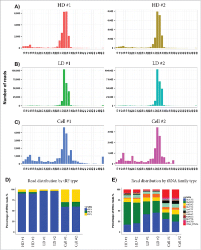 Figure 4. Analysis of tRNA fragments. (A–C) The graphs show the lengths of the tRNA reads identified in each sample, demonstrating an average length of ∼33 nucleotides long fragments. (D) Each tRNA fragment (tRF) was assigned to the 5′ region (blue), the 3′ region (green), or as unknown (yellow). (E) The graphs show the percentage of reads distributed in tRNA family type in all samples.