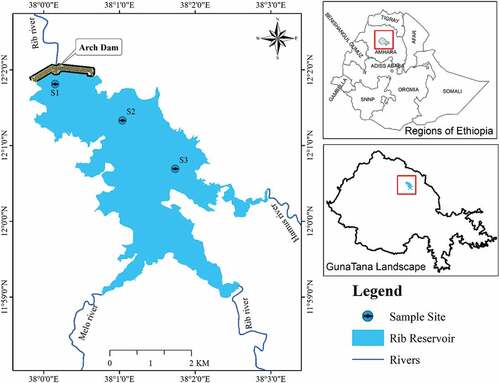 Figure 1. The map shows the location of the sampling sites from Ribb Reservoir.