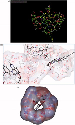 Figure 10. (A) Molecular modelling data of ETB-loaded GHS-NS. (B) Molecular modelling data of ETB and GHS-NS interaction. (C) Molecular modelling data of drug entrapment in the GHS-NS.