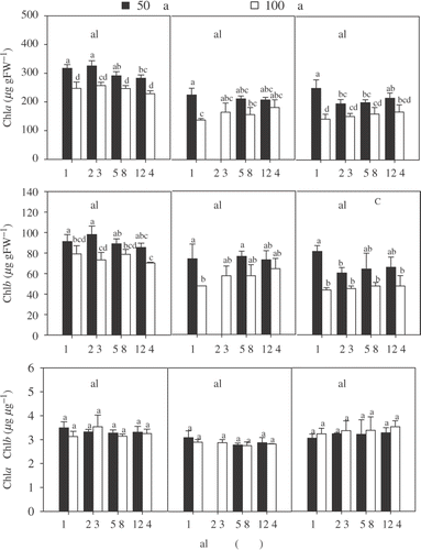 Fig. 2. Pigment characteristics for female and male Chara canescens originating from NS and female plants collected from BS populations incubated in different irradiance – salinity regimes. The effect of location, irradiance and salinity was tested by a three-way ANOVA. Different capital letters indicate significant differences between clones and different lower case letters significant treatment effect within the locations (one-way ANOVA, Tukey post-hoc test, p<0.05).