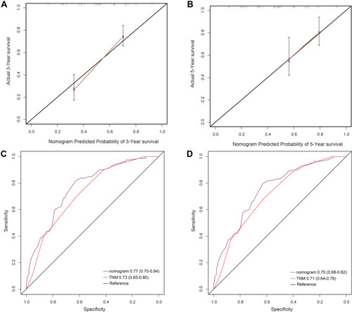 Figure 5 (A) The 3-year survival rate of ESCC patients predicted by the nomogram is highly consistent with the real-world, observed values in the validation cohort. (B) The 5-year survival rate of ESCC patients predicted by the nomogram is highly consistent with the real-world, observed values in the validation cohort. (C) The ability of the nomogram to predict the 3-year survival rate of ESCC patients by ROC analysis, showing that the nomogram has a larger AUC than the TNM staging in validation cohort. (D) The ability of the nomogram to predict the 5-year survival rate of ESCC patients by ROC analysis, showing that the nomogram has a larger AUC than the TNM staging in validation cohort.