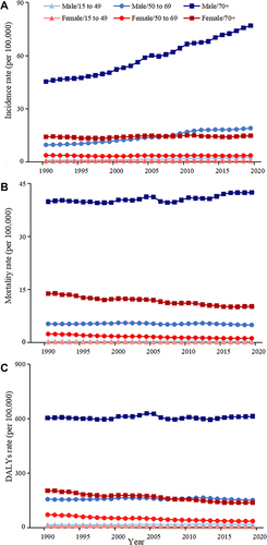 Figure 2 The incidence rate (A), mortality rate (B), and DALYs rate (C) of bladder cancer per 100,000 population by gender in different age groups, from 1990 to 2019.