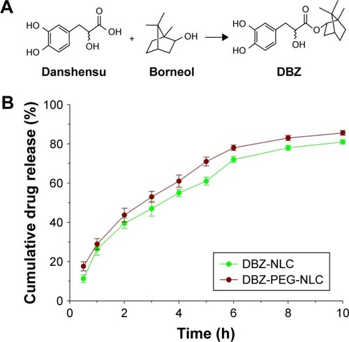 Figure 1 Chemical structures of DBZ and in vitro release of DBZ from DBZ-PEG- NLC and DBZ-NLC.Notes: (A) Chemical structures of DBZ; (B) in vitro release of DBZ from DBZ- PEG-NLC and DBZ-NLC. Data are expressed as the mean ± SD from three separate experiments.Abbreviations: DBZ, tanshinol borneol ester; DBZ-NLC, DBZ nanostructured lipid carriers; DBZ-PEG-NLC, polyethylene glycol (PEG)-modified and DBZ-loaded nanostructured lipid carriers.