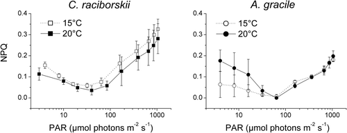 Fig. 5. Non-photochemical quenching of fluorescence (NPQ) plotted against photosynthetically active radiation (PAR) emitted by the PHYTO-PAM device. Three C. raciborskii (left panel) and three A. gracile (right panel) strains were grown at 88 µmol photons m−2 s−1 and 15°C (open symbols) and 20°C (closed symbols), respectively. NPQ is given as mean and standard deviation of the measurements of three different strains per species.