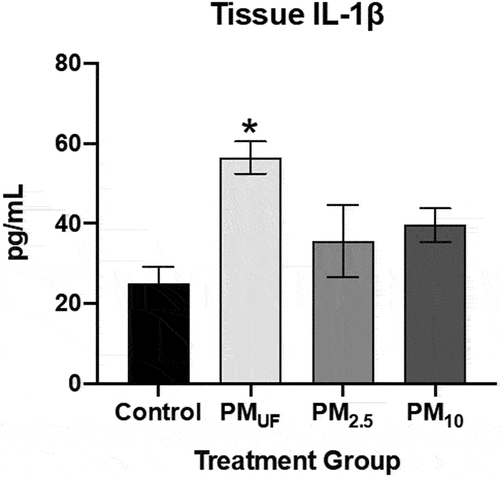 Figure 6. Protein levels of IL-1ß in lung homogenate 24 hr after a single OPA exposure to PM. the graph shows levels of interleukin 1 beta (IL-1ß) protein measured in homogenates of the right caudal lung lobe via an enzyme-linked immunosorbent assay. Data were analyzed with a one-way ANOVA to determine the effect of particle size on IL-1ß protein levels, and a post-hoc Tukey’s multiple comparison test to determine statistical differences between specific exposure groups. N = 8/group. Statistical significance was determined at a level of p < .05. The asterisk (*) signifies a significant (p < .05) difference from control.