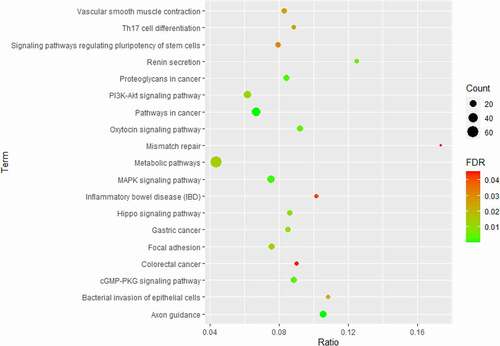 Figure 4. KEGG Pathway analysis of genes with altered DNA methylation. The count is the number of hits in the selected pathway; FDR, false discovery rate.