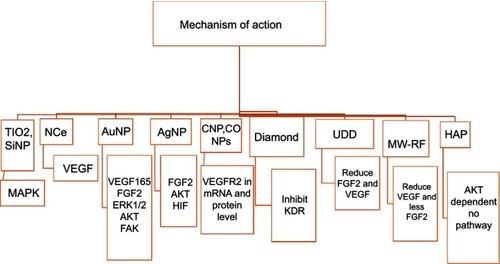 Figure 4 Mechanism of action of inorganic nanoparticles that have been proven to suppress the formation of new blood vessels by inhibiting VEGF and inducing VEGFR2 phosphorylation in antiangiogenesis related pathways.Abbreviations: CoNPs, copper nanoparticles; AuNP, gold nanoparticle, AgNP, silver nanoparticle; SiNP, silicate nanoparticle; TiO2, titanium dioxide; HAP, hydroxyapatite; UDD, ultra dispersed detonation diamond; MW-RF, micowave-radiofrequency; nCe, nanoceria; CNP, chitosan nanoparticle; VEGF, vascular endothelial growth factor; VEGFR, vascular endothelial growth factor receptor; HIF-1, hypoxia inducible factor-1; ERK, Extracellular signal-regulated kinase; FAK, focal adhesion kinase; KDR, kinase insert domain receptor; FGF, Fibroblast growth factor; MAPK, mitogen-activated protein kinases.