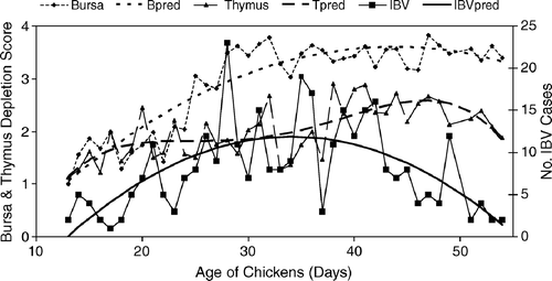 Figure 1.  IBV respiratory cases in Alabama broilers (n = 322) in the period 1997 to 2002 and the extent of thymic or bursal lymphocytic depletion by age of submission. Predicted (pred) bursal or thymic (Tpred) lymphocytic depletion and IBV isolations (IBVpred) by polynomial regression. All terms in the models significant at P < 0.05.