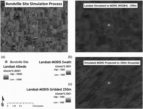 Figure 8. The full process of synthesizing data. Clockwise from top left: (a) The original Landsat synthetic albedo at 30 m resolution. (b) The next step transforms the Landsat at 30 m resolution to daily MODIS observation geometry derived from daily MOD03 geolocation data and projected to a geographic coordinate system preserving the variable swath pixel sizes. This example uses data from Aqua and has a VZA of 26.47°, resulting in an pixel. (c) Finally, the daily synthetic swath data are gridded to the MODIS sinusoidal grid at 250 m resolution.