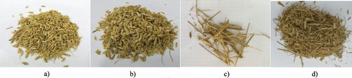 Figure 4. The components of Wu chang dao hua xiang variety. (a) Grain, (b) Shriveled grain, (c) Short stalks, (d) Impurities.
