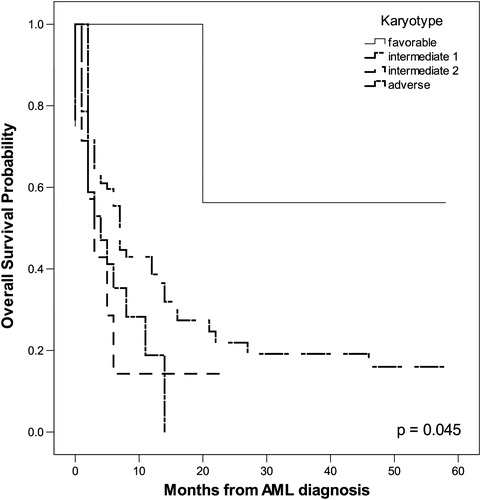 Figure 5. Adverse karyotype had significant impact on OS (P = 0.045 by Kaplan–Meier method).