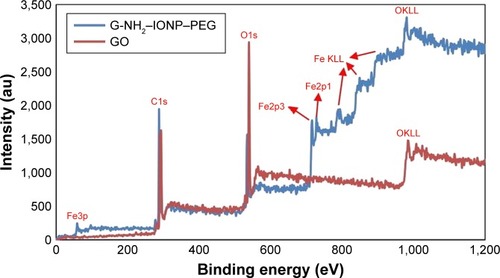 Figure 4 Spectroscopy of X-ray photoelectron of GO and G-NH2–IONP–PEG.