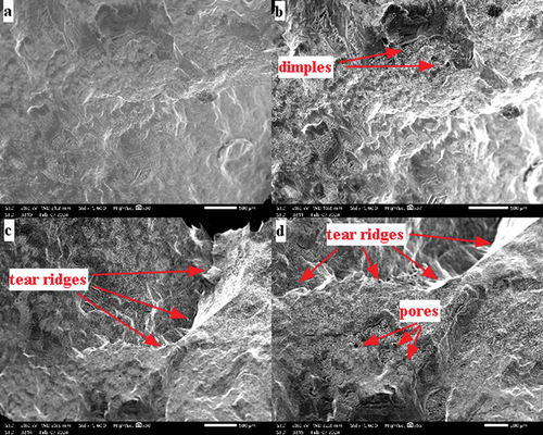Figure 12. Fractography SEM images of compression-fractured specimens with the magnifications of (a, c) x30; (b) x37; (d) x55.