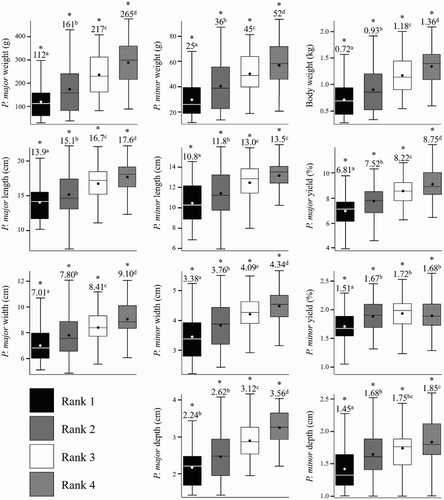 Figure 8. Boxplots show descriptive growth parameter data for individual ranks 1–4. Boxes indicated data values falling within the Intra-quartile range (IQR) between the first and third quartiles (25th and 75th percentiles). Whiskers extending from each box indicate range of data outside the IQR, ending with minimum and maximum data points of each growth parameter. Within each box, lines (▬) indicate rank median and circles (●) indicate rank means. Mean values are denoted above their respective rank boxes and differing superscripts indicate significant differences in least square means among ranks (* = P < 0.001).