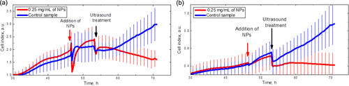 Figure 7. Time evolution of the cell number: (a) 3T3-L1 cell line; (b) HuH7 cancer cell line. Arrows show when the CFO NPs were added and ultrasound treatment was switched on.