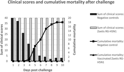 Figure 2. A visual summary of the clinical scores and mortality rates among birds vaccinated with Zoetis RG-H5N1 or the negative controls which received a placebo. The clinical scores were obtained by awarding a score of 2 for each healthy bird per observation, 1 for each sick bird, and 0 for each dead bird. Therefore, the healthiest group obtained the highest clinical scores.